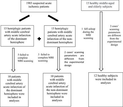 Hemispheric Difference of Regional Brain Function Exists in Patients With Acute Stroke in Different Cerebral Hemispheres: A Resting-State fMRI Study